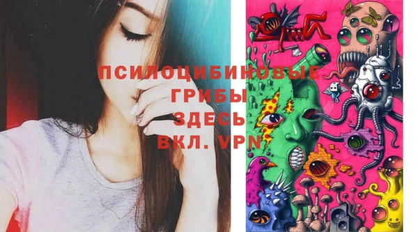Альфа ПВП Козельск