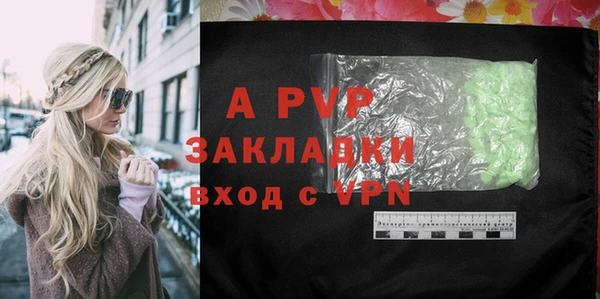гашик Корсаков