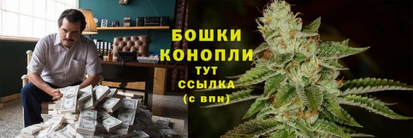 гашик Корсаков