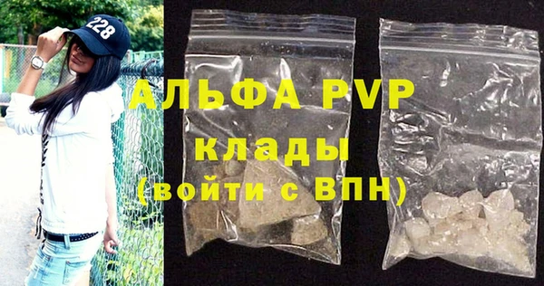 гашик Корсаков