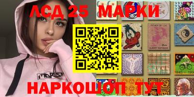 стаф Берёзовский