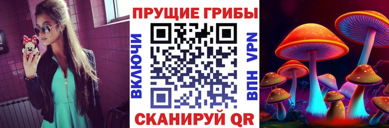 магазин продажи Великий Новгород МЕГА вход Галлюциногенные грибы прущие грибы